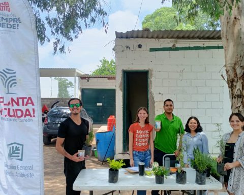 Cierra programa de “Planta y Cuida”