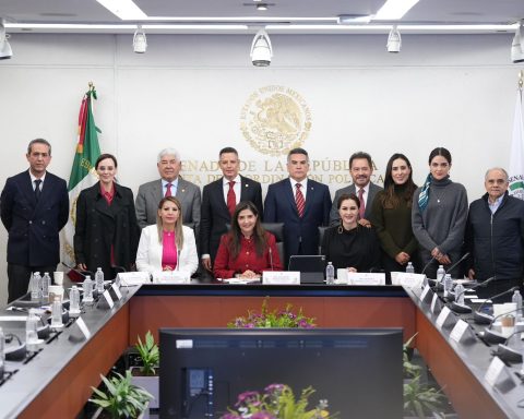 La senadora por Coahuila, Cecilia Guadiana