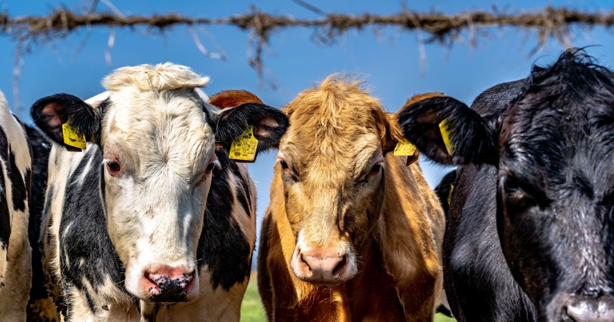 Cámara Agrícola y Ganadera de Torreón