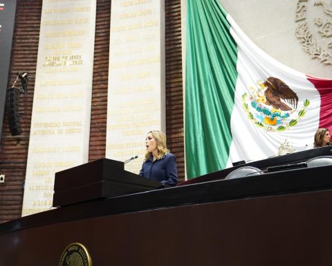 Diputada Verónica Martínez García