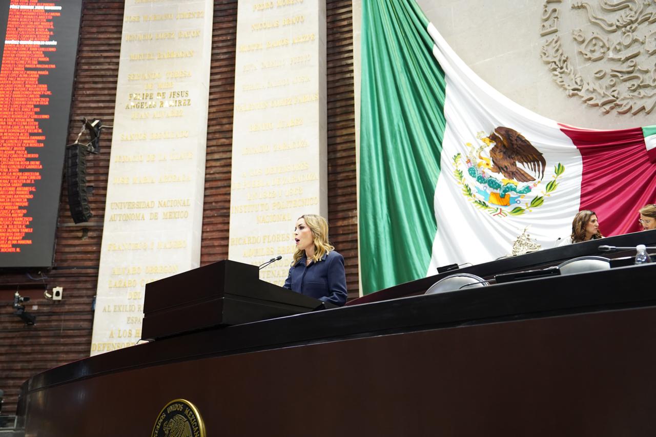 Diputada Verónica Martínez García