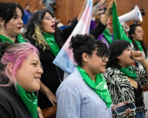 Colectivas celebraron que el Congreso despenalizara el aborto