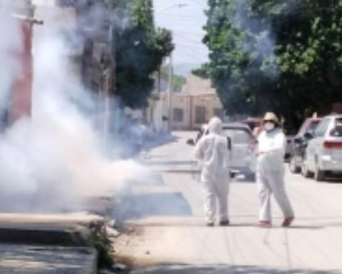 Fumigan contra el dengue