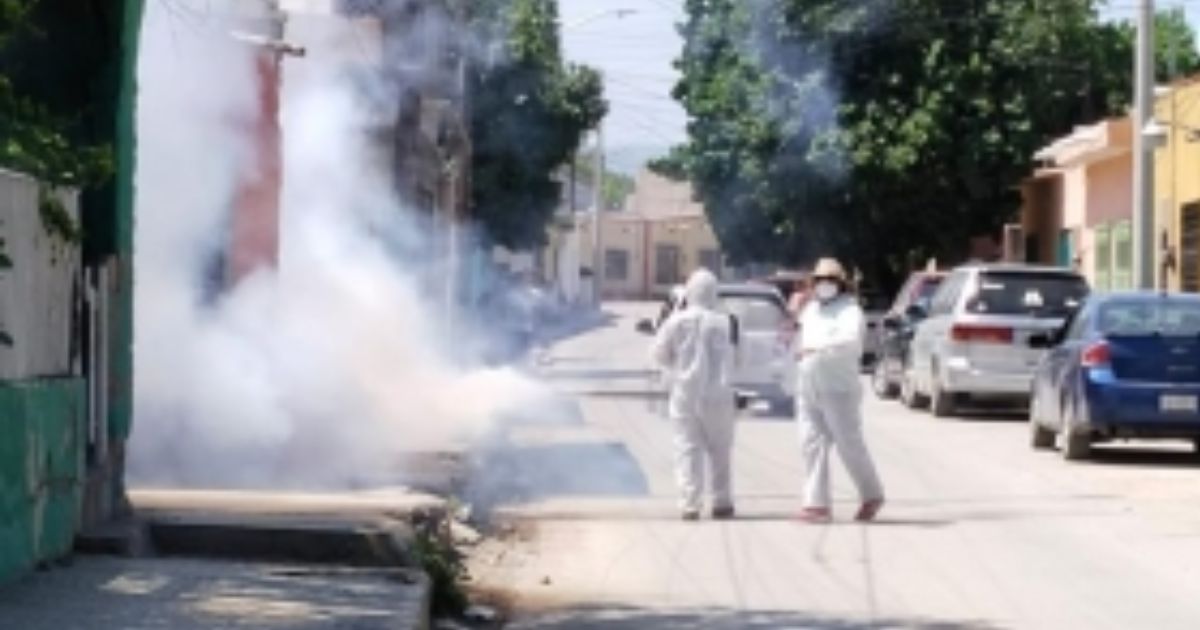 Fumigan contra el dengue