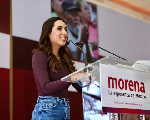 Cecilia Guadiana, diputada federal