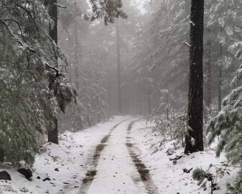 Cae la primera nevada en Chihuahua