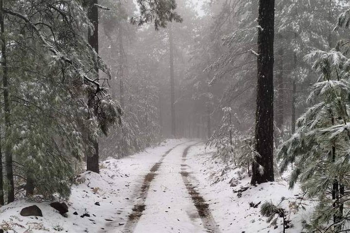 Cae la primera nevada en Chihuahua