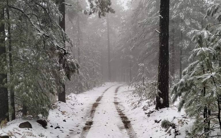 Cae la primera nevada en Chihuahua