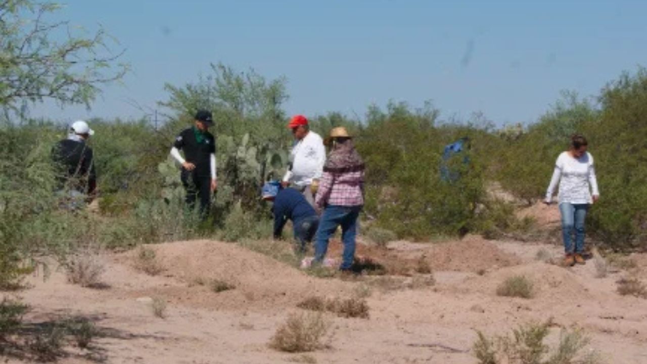 Grupo Vida fosas