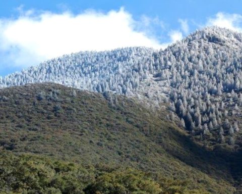 Rescatan a tres jóvenes extraviados en la Sierra de Zapalinamé