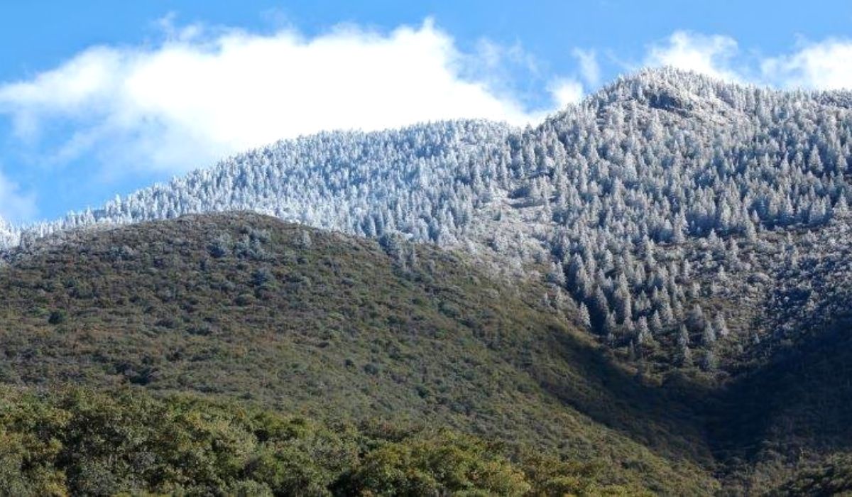 Rescatan a tres jóvenes extraviados en la Sierra de Zapalinamé