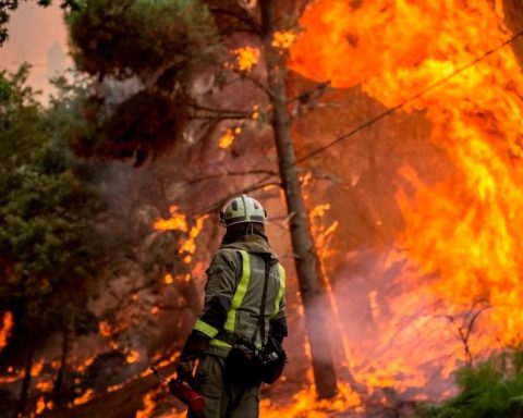 Incendios forestales