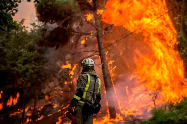 Incendios forestales