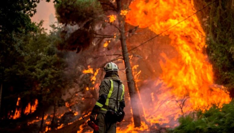 Incendios forestales