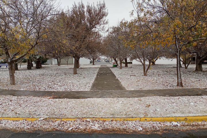 FRÍO EN COAHUILA