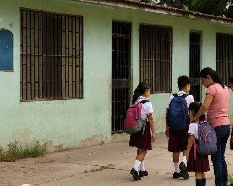 brotes plagas en escuelas