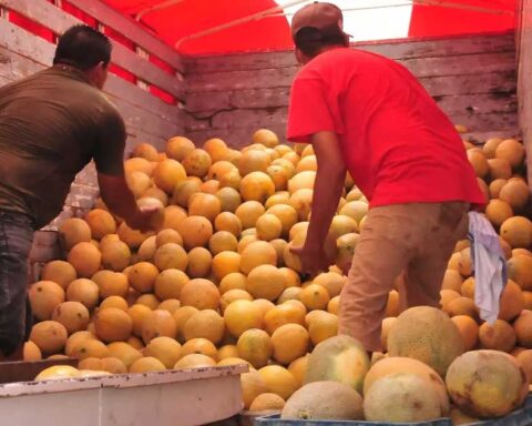 Productores en un camión lleno de melones.