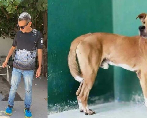 A la izquierda, Canelito con su nuevo dueño; a la derecha una foto de Canelito solo.