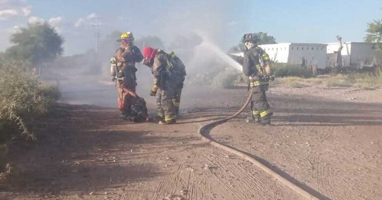 Bomberos rescatando a un hombre atacado por abejas.
