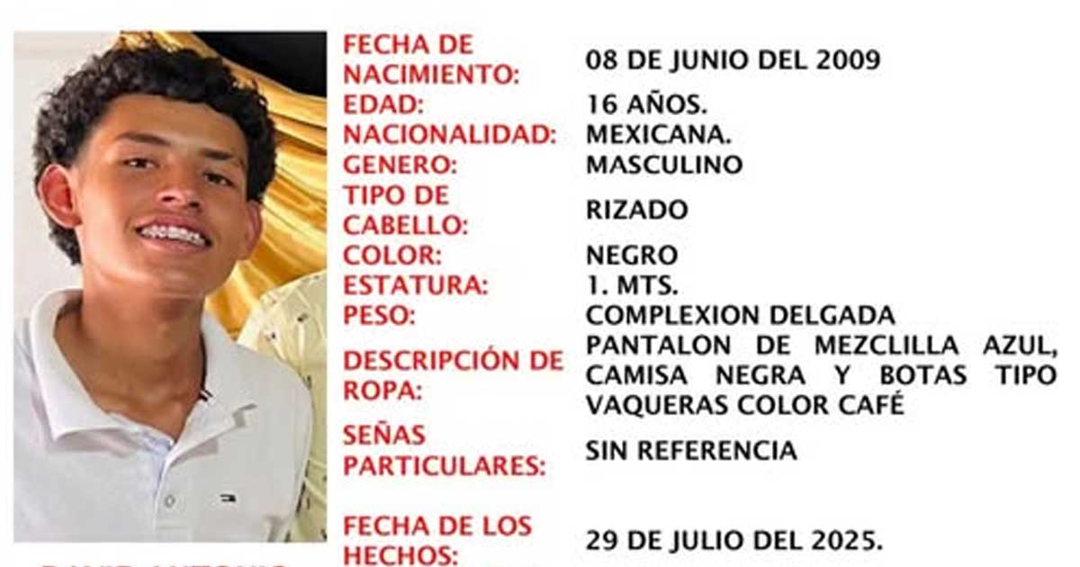 Ficha de búsqueda de David Antonio.