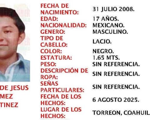 Ficha de búsqueda