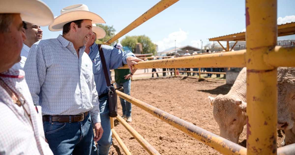 Alcalde de Saltillo Javier Díaz junto a ejemplares de ganado.