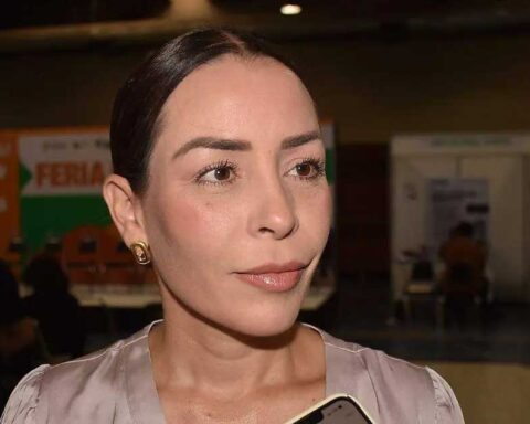 Diputada federal Verónica Martínez.