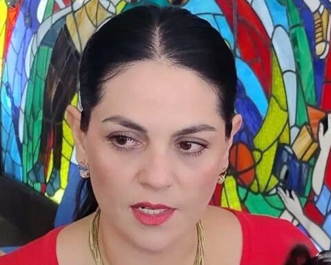 Diputada Luz Elena Morales.