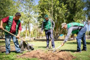 Reforestando lugares