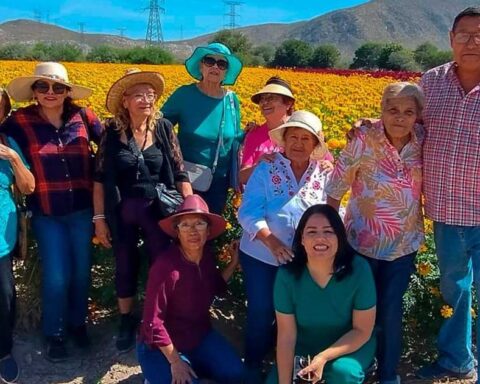 Participantes de taller en un campo de cempasúchil.