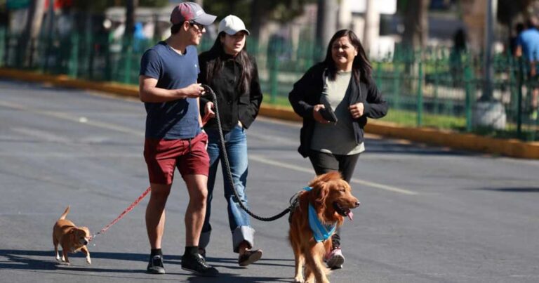 Personas con sus mascotas en la Ruta Recreativa.