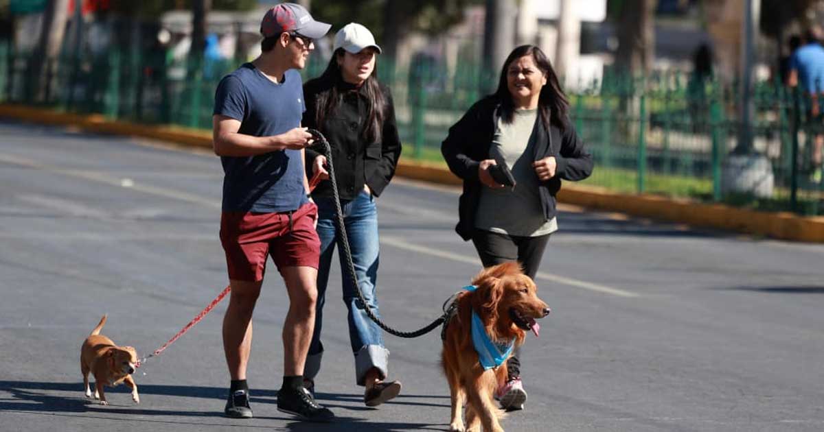 Personas con sus mascotas en la Ruta Recreativa.