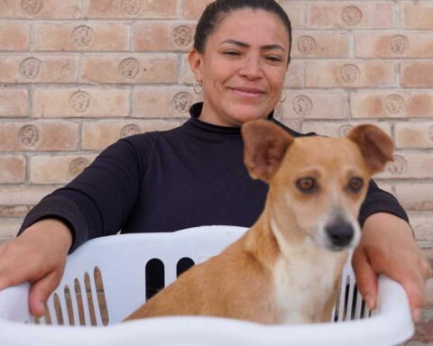 Una mujer con su perro durante la jornada de esterilización en Ramos Arizpe.