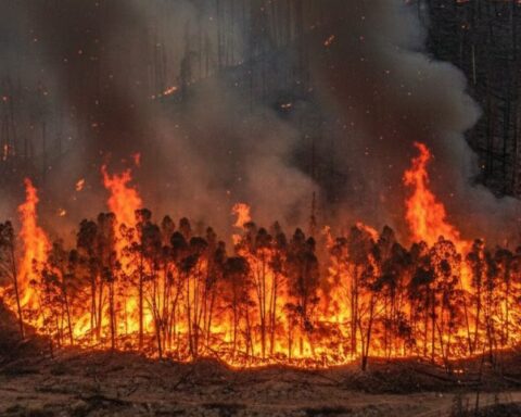 incendios Chihuahua