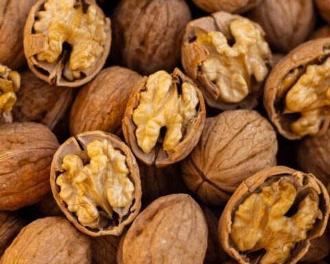 producción nuez Nogales