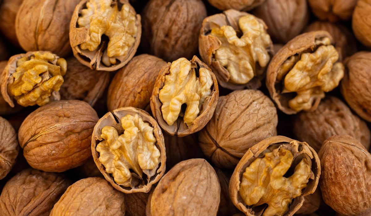 producción nuez Nogales