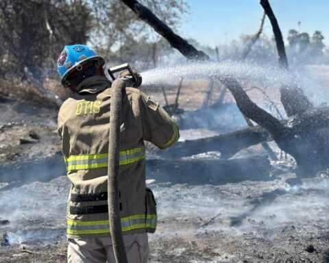 Hombre sofocando un incendio forestal.