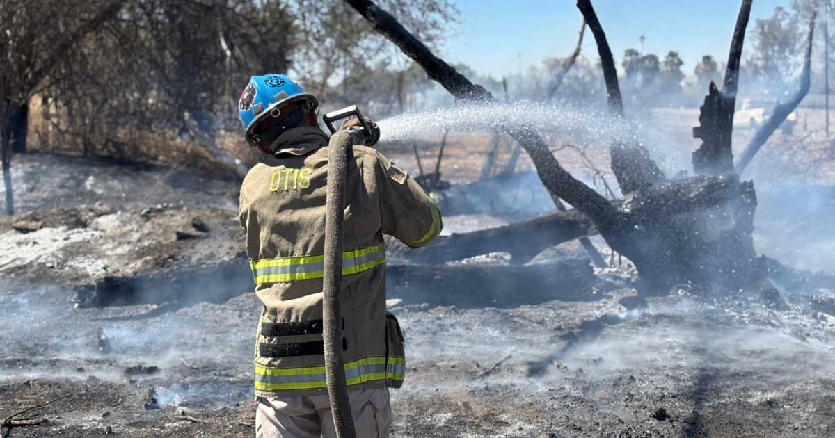 Hombre sofocando un incendio forestal.