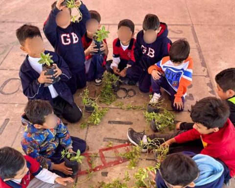 Niños de una escuela primaria.