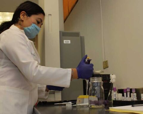 Investigadora en el Centro de Investigación Biomédica de la UAdeC.
