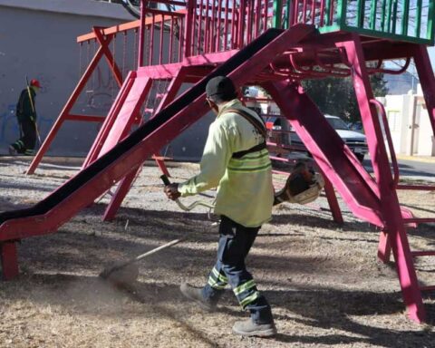 Trabajador limpiando un parque.