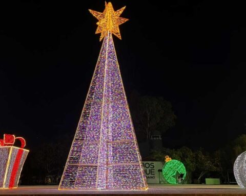 Pino navideño.