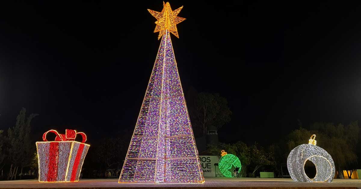 Pino navideño.