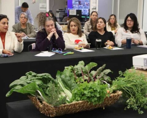 Curso de permacultura en Saltillo.