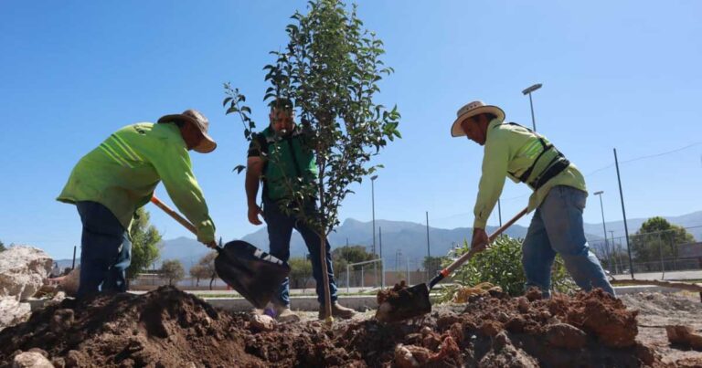 Reforestación Saltillo.