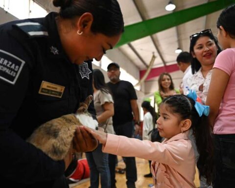 NIña conviviendo con su madre policía