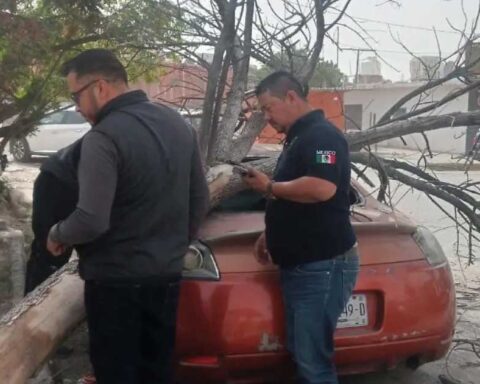 Árbol derribado por el viento sobre un automóvil en Francisco I. Madero, municipio de La Laguna.