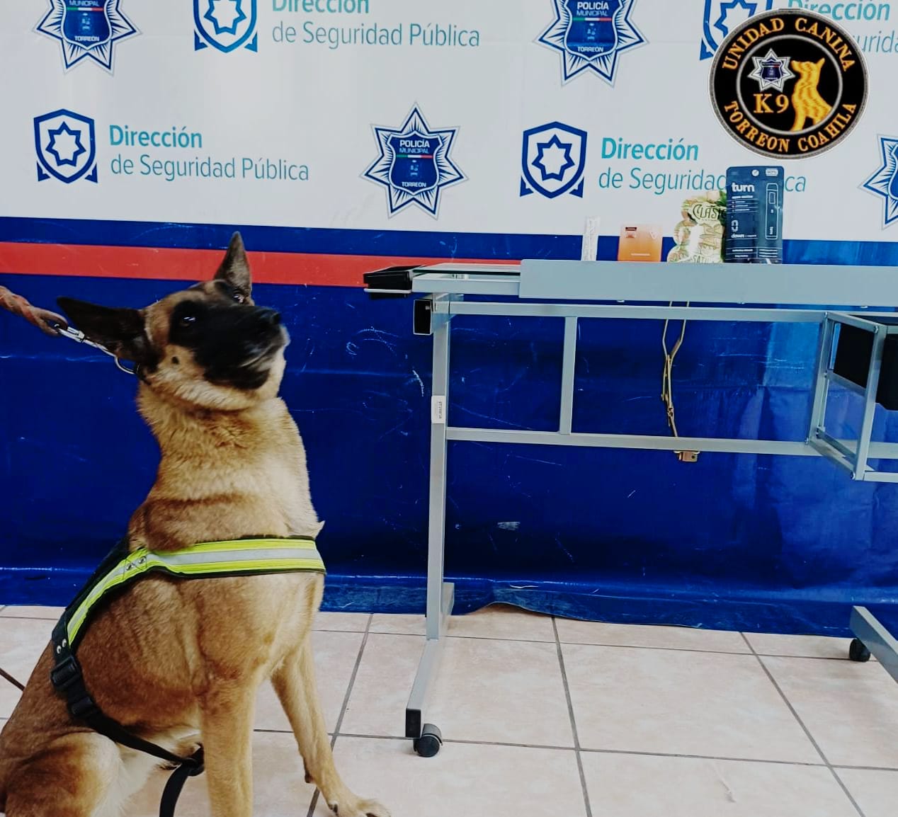 Olivia, elemento de la Unidad Canina K9 en Torreón.