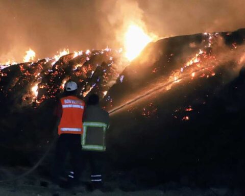 Hombres apagando un incendio forestal.