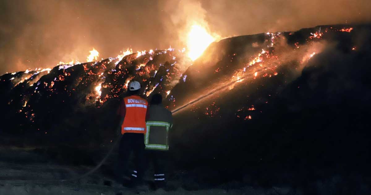 Hombres apagando un incendio forestal.